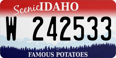 ID license plate W242533