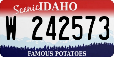 ID license plate W242573
