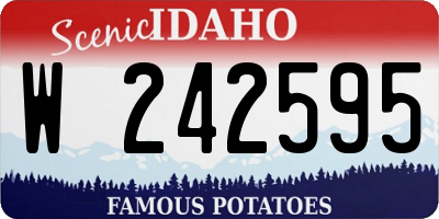 ID license plate W242595