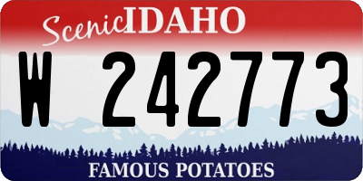 ID license plate W242773