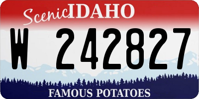 ID license plate W242827