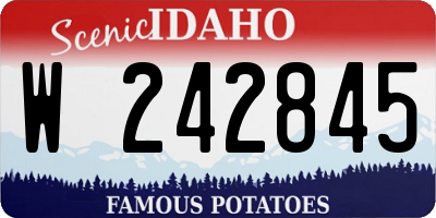 ID license plate W242845