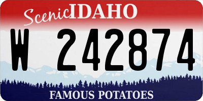 ID license plate W242874
