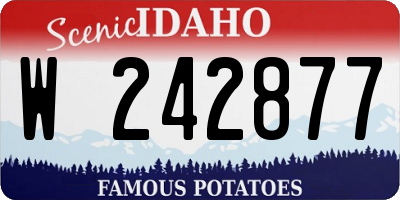 ID license plate W242877