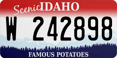 ID license plate W242898