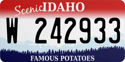 ID license plate W242933