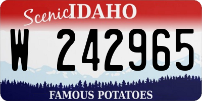 ID license plate W242965