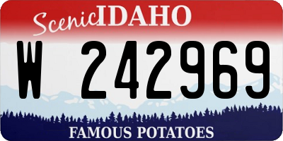 ID license plate W242969