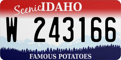 ID license plate W243166