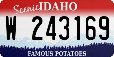 ID license plate W243169