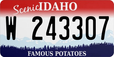 ID license plate W243307