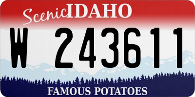 ID license plate W243611