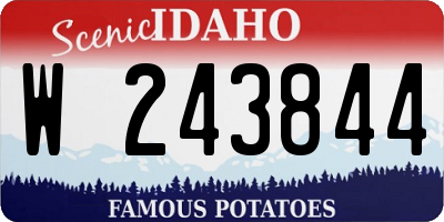 ID license plate W243844
