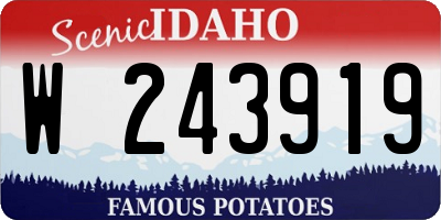 ID license plate W243919