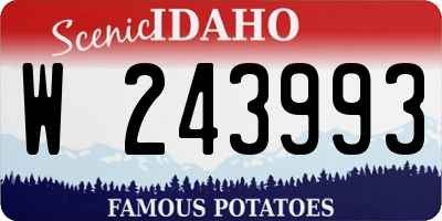 ID license plate W243993