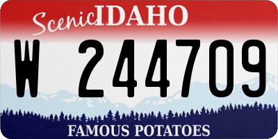 ID license plate W244709