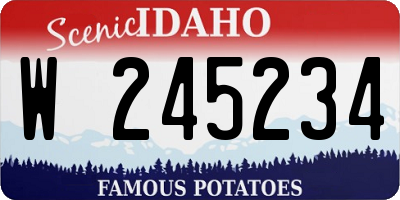 ID license plate W245234