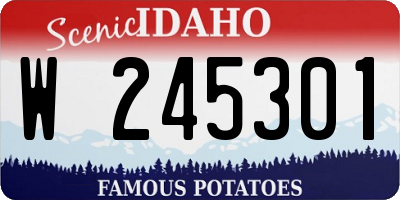 ID license plate W245301