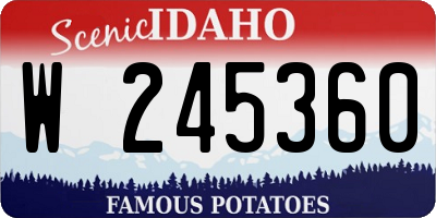 ID license plate W245360