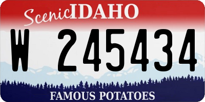 ID license plate W245434