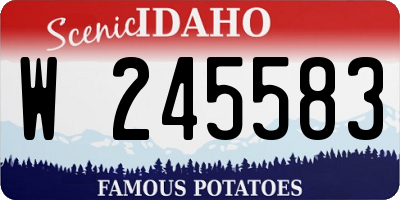 ID license plate W245583