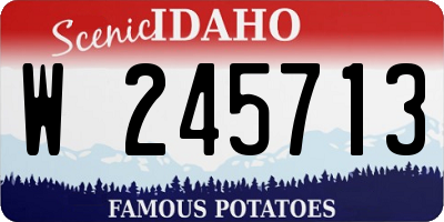 ID license plate W245713