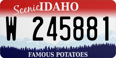 ID license plate W245881