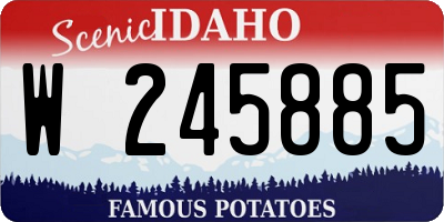 ID license plate W245885