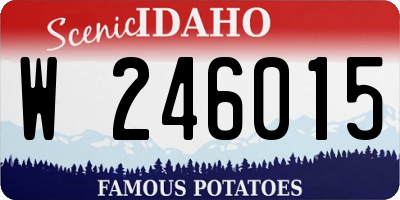 ID license plate W246015