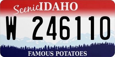 ID license plate W246110