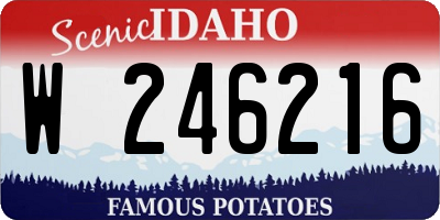 ID license plate W246216