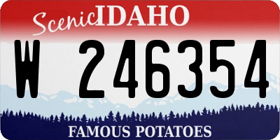 ID license plate W246354