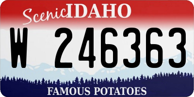ID license plate W246363