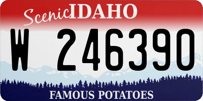 ID license plate W246390
