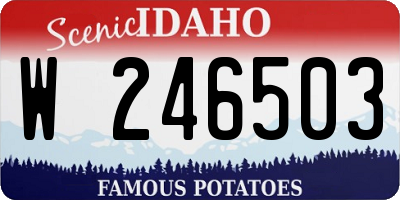 ID license plate W246503