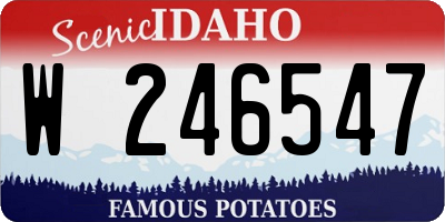 ID license plate W246547