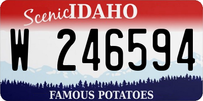 ID license plate W246594