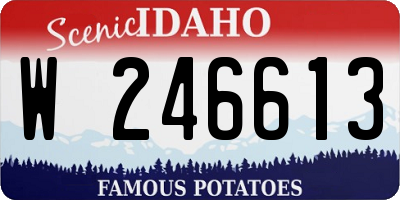 ID license plate W246613