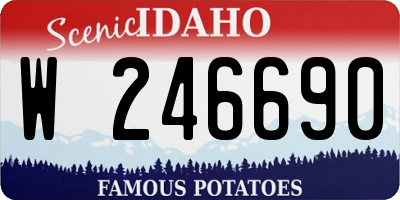 ID license plate W246690