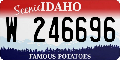 ID license plate W246696