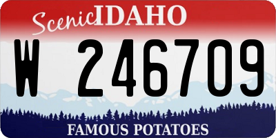 ID license plate W246709