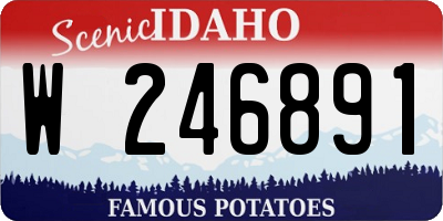 ID license plate W246891