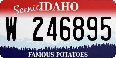 ID license plate W246895