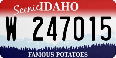 ID license plate W247015