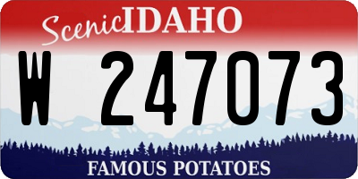 ID license plate W247073