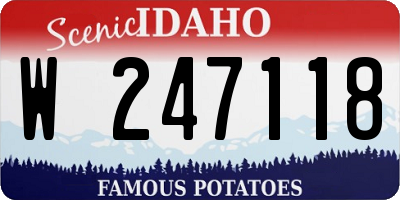 ID license plate W247118