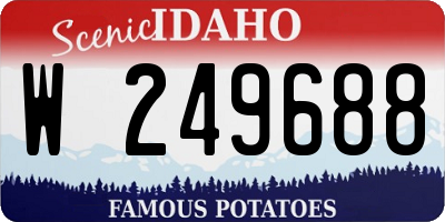 ID license plate W249688