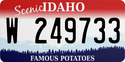 ID license plate W249733