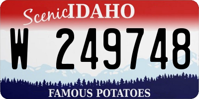 ID license plate W249748