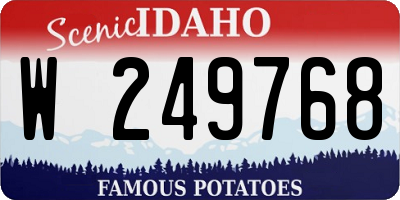ID license plate W249768